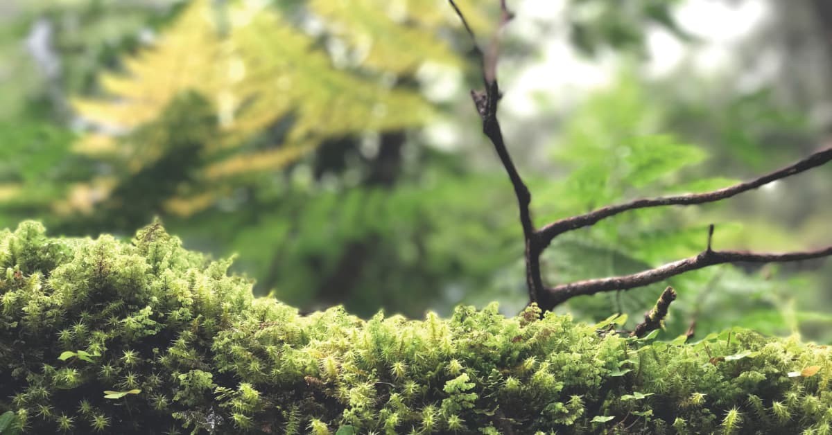 理念教育的風景--人本「理念教育研討會」特輯(一)