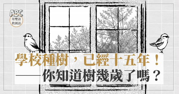 學校種樹，已經十五年！──你知道樹幾歲了嗎？
